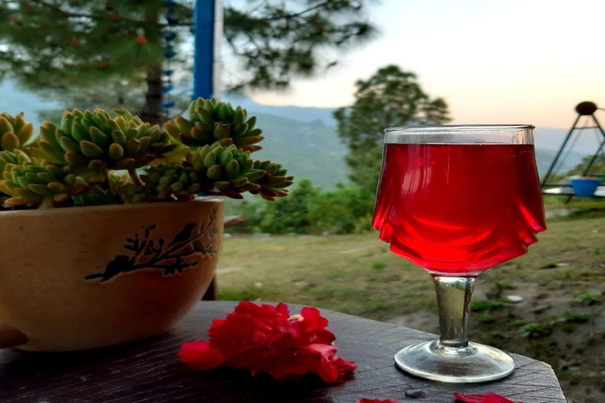 Uttarakhand Tour Gallery